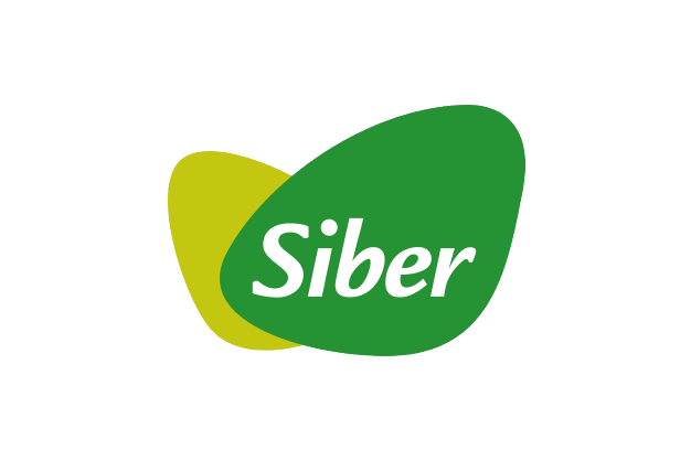 Siber